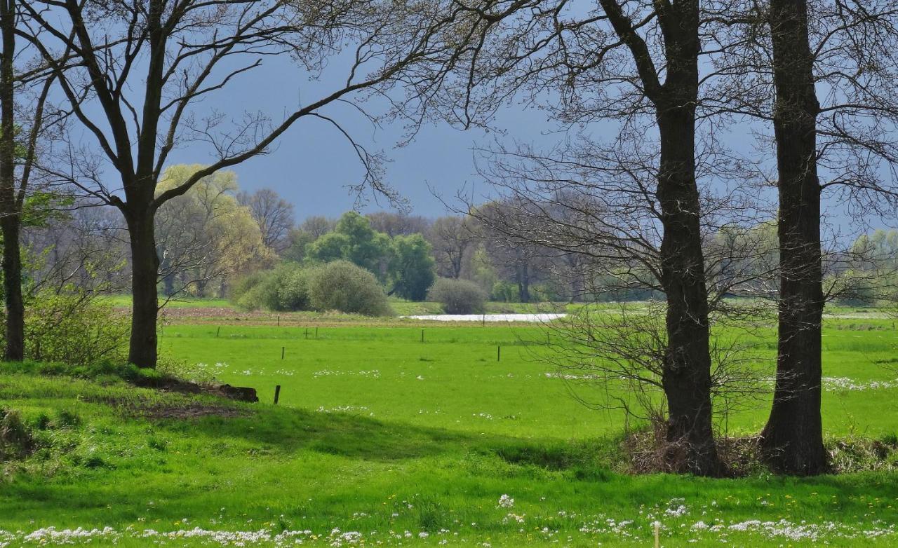 Brinkesdiek Hardenberg