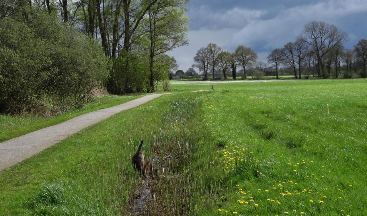 Brinkesdiek Bed & Breakfast Hardenberg